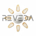 Fructooligosaccharides
