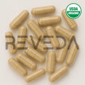 Galangal Root Capsules