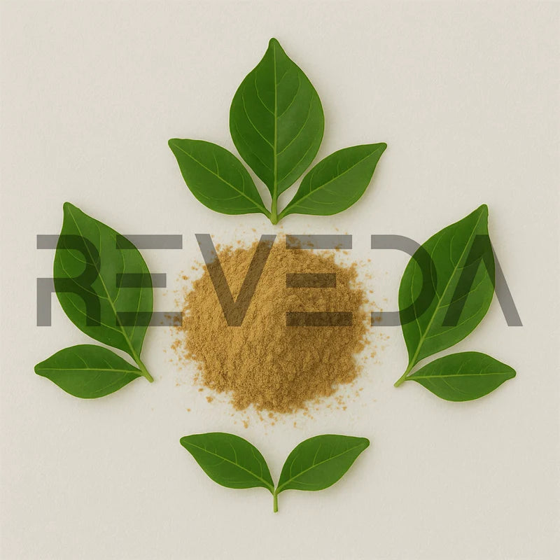 Gambhari Powder