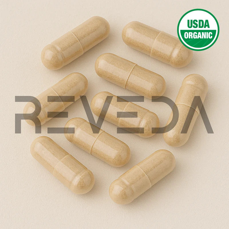Ginger Capsules