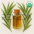 Ginger Grass Essential Oil