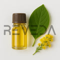 Goldenrod Essential Oil