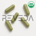 Gymnema Capsules