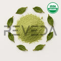 Gymnema Extract Powder