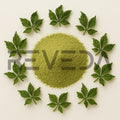 Gynostemma Powder
