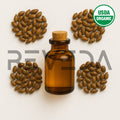 Hibiscus Seed Oil