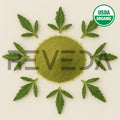 Hyssop Leaf Powder