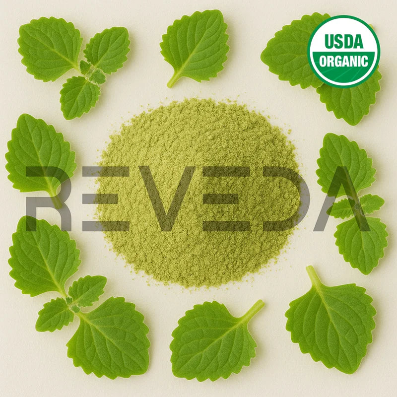 Indian Borage Powder