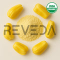 Jackfruit Powder