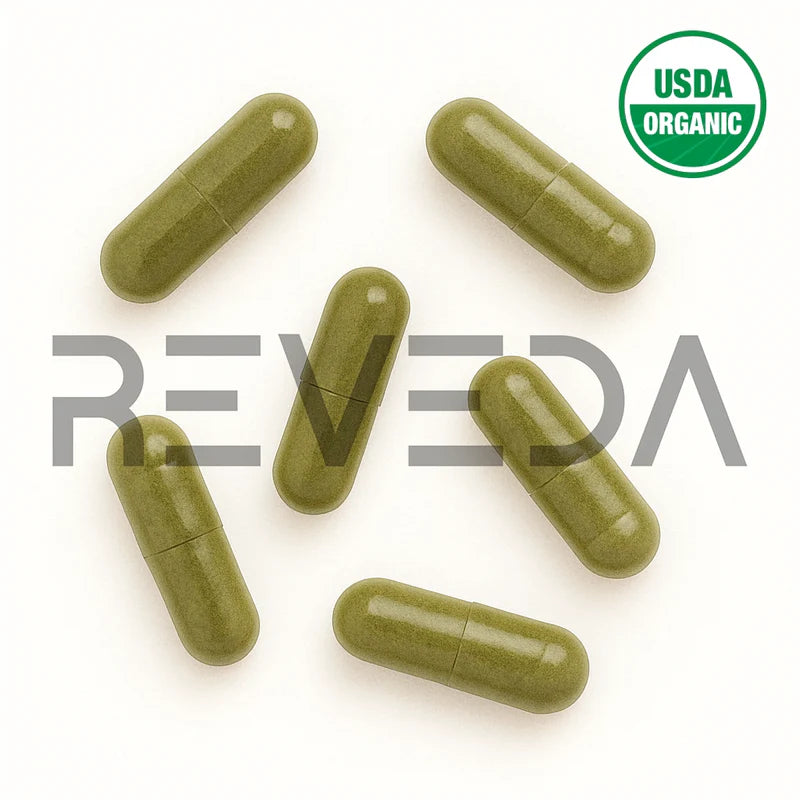 Kelp Capsules