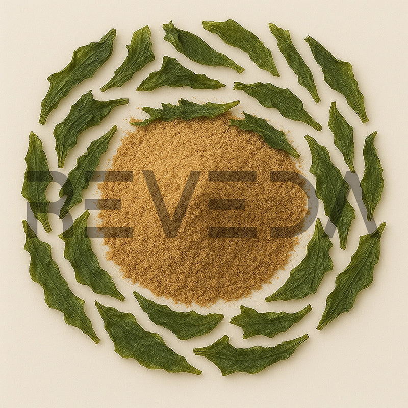 Kombucha Powder