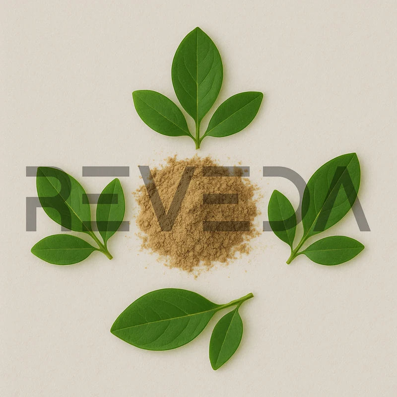 Kurchi Powder