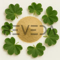 Lady's Mantle Powder