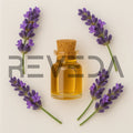 Lavandin Essential Oil