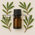 Ledum Essential Oil
