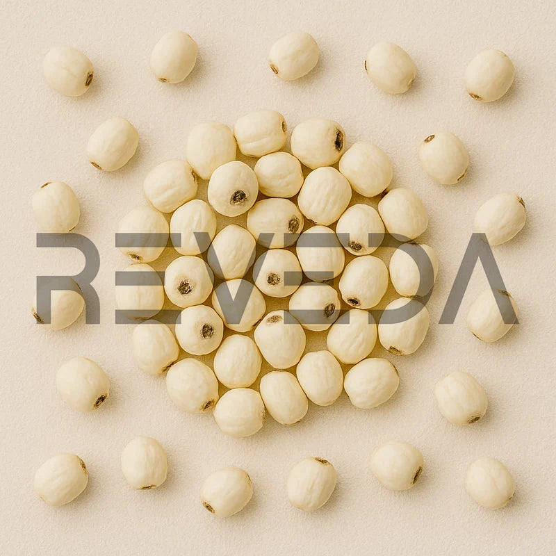 Lotus Seeds