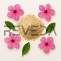 Madagascar Periwinkle Powder