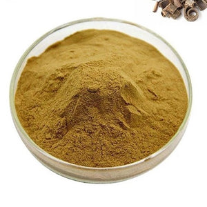 Magnolia-Bark Powder