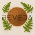 Male Fern Powder