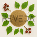 Mexican Sarsaparilla Powder