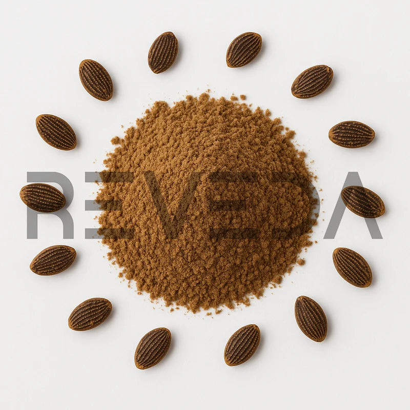 Mimosa Pudica Seed Powder