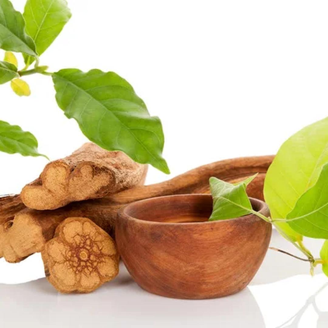 Banisteriopsis Caapi | Vine of the Souls | Aya Powder