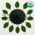 Moringa Henna Powder Black Color