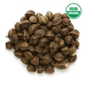 Moringa Seeds Wingless