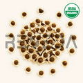 Moringa Seeds with Wings