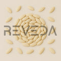 Muskmelon Seeds