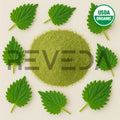 Nettle Leaf Powder