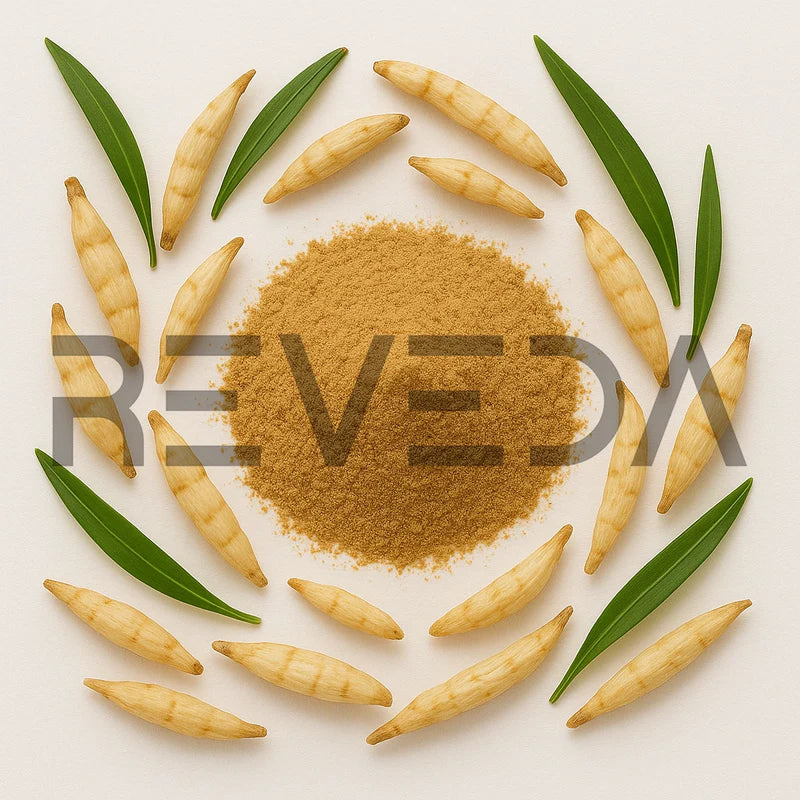 Ophiopogon Powder