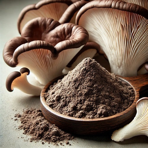 Oyster Mushroom Extract Powder