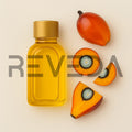 Palm Oil