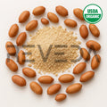Peanut Cake De Oiled Protein Powder