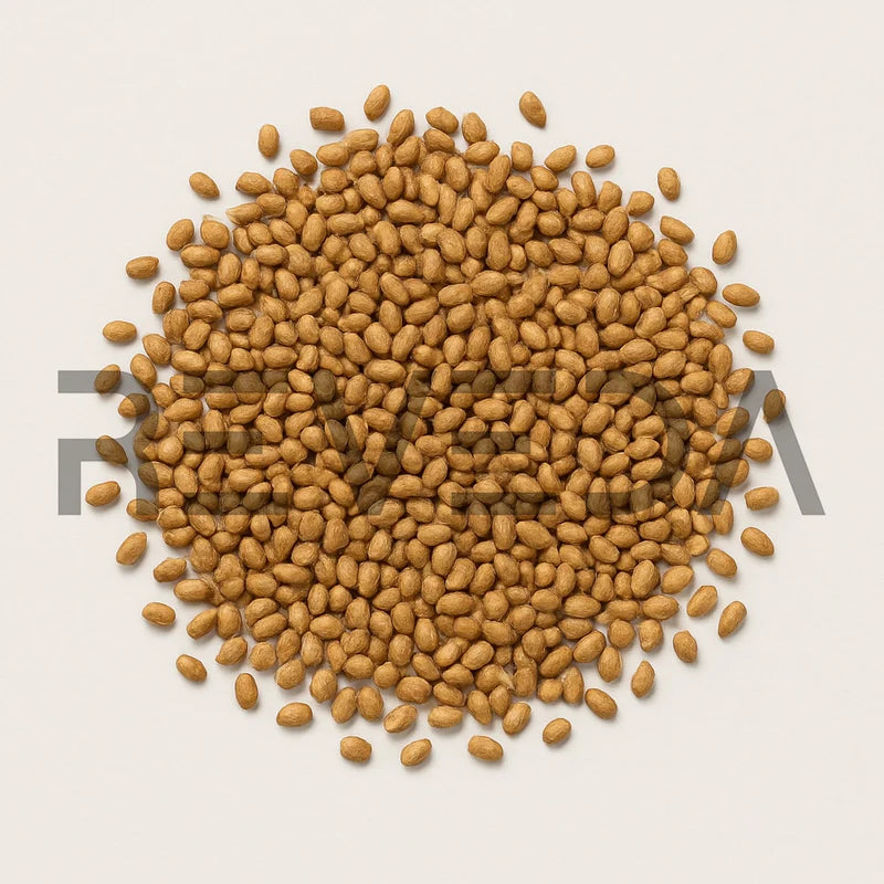 Peepal Seeds