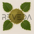 Pipsissewa Powder
