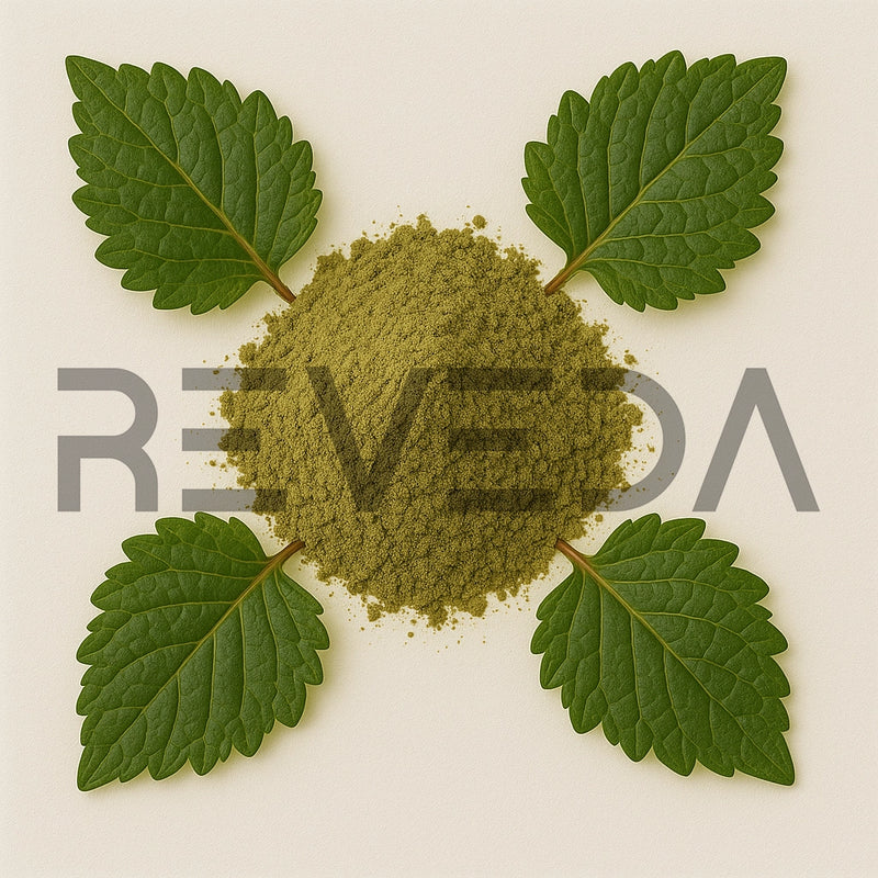Pipsissewa Powder