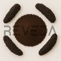 Rehmannia Extract Powder