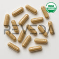 Reishi Mushroom Extract Capsules