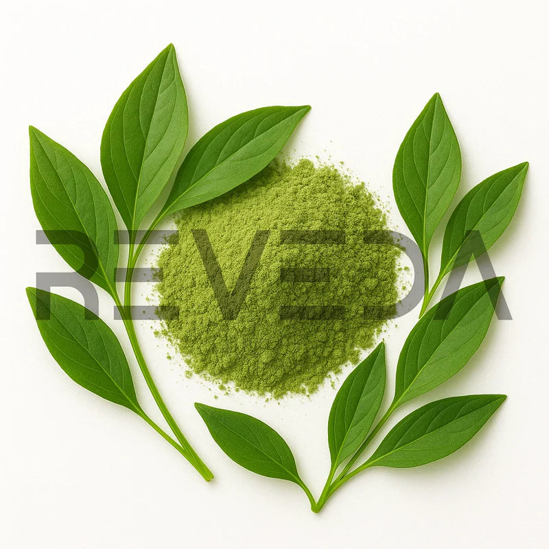 Sambong Powder