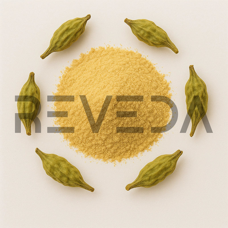 Saphora Japonica Extract Powder