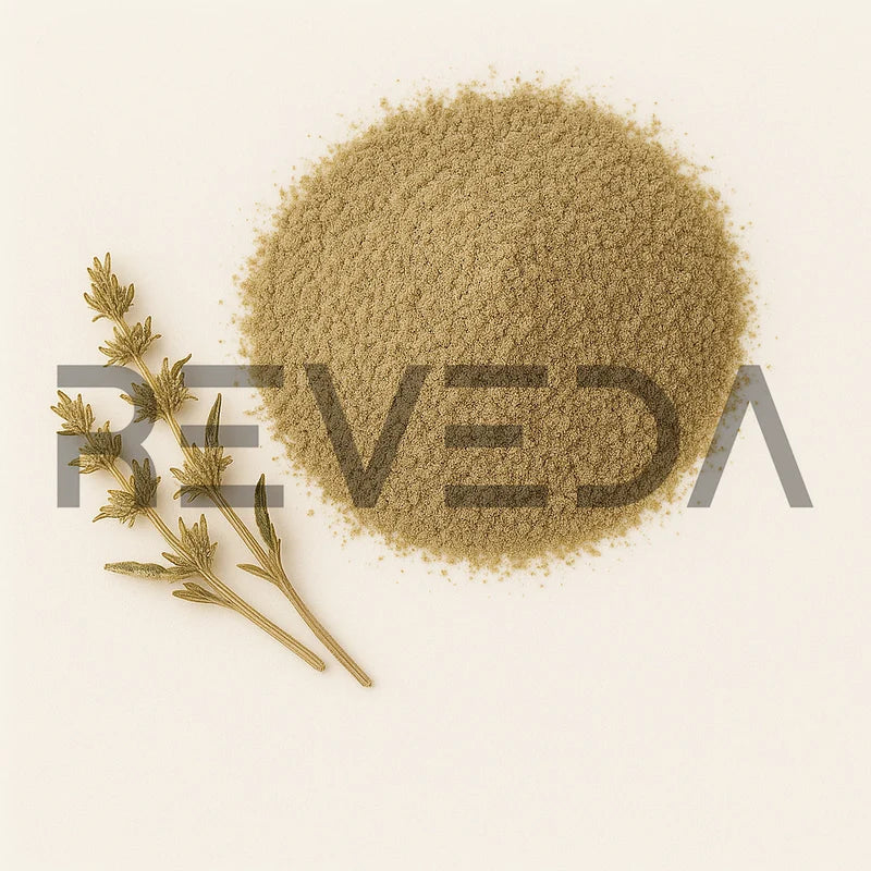 Schizonepeta Powder