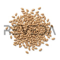Sesbania Grandiflora Seeds