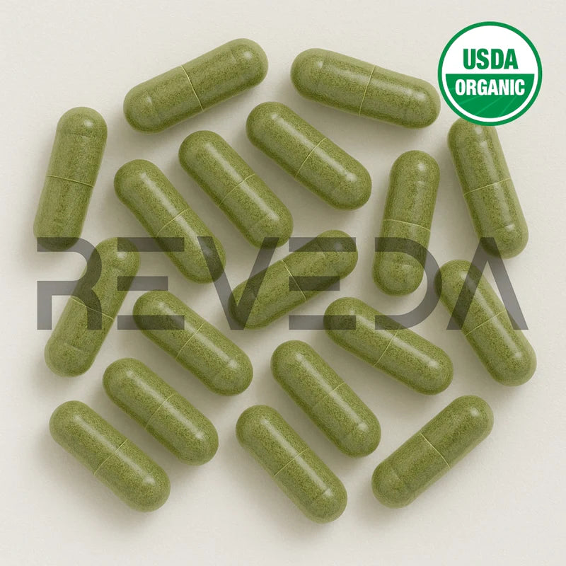 Skullcap Capsules
