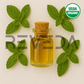 Spearmint Essential Oil