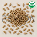Sunflower Seeds