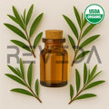 Tea Tree Essential Oil