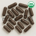 Turkey Tail Capsules