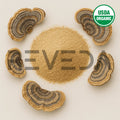 Turkey Tail Mushroom Powder